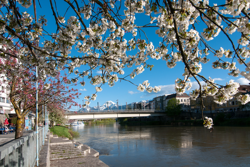 Villach